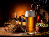 BEER LP