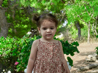 HABA0655X